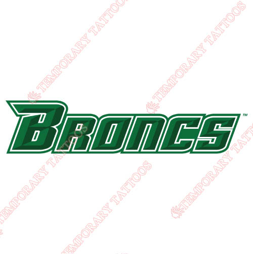 Texas Pan American Broncs Customize Temporary Tattoos Stickers NO.6524